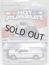 画像: 2016 GREENLIGHT HOT PURSUIT S17 【UNITED STATES FOREST SERVICE - 2015 FORD F-150】 WHITE/RR